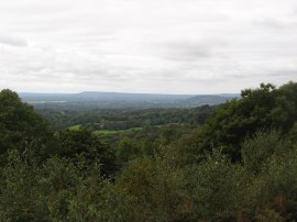 View from Holmbury Hill